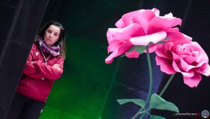 pontevecchio bologna sfe08413 copia simone ferraro ph copia